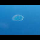 Ein Atoll in der Timor See